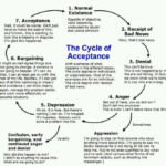 Pin By Aly Rock On Health Therapy Activities Therapy Worksheets