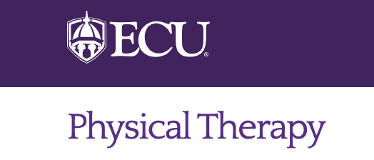 Best Physical Therapy Schools In Georgia Is Great Newsletter Photography