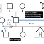 Genogram Example 3 Generations Farevast