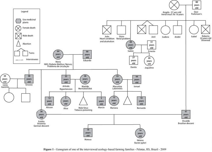 Genogram Social Work Template Vehement Blogsphere Pictures Library