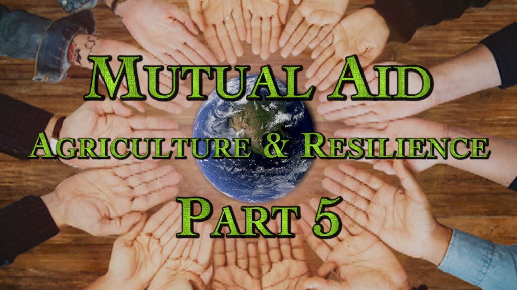 Mutual Aid Agriculture Resilience Part 5 YouTube