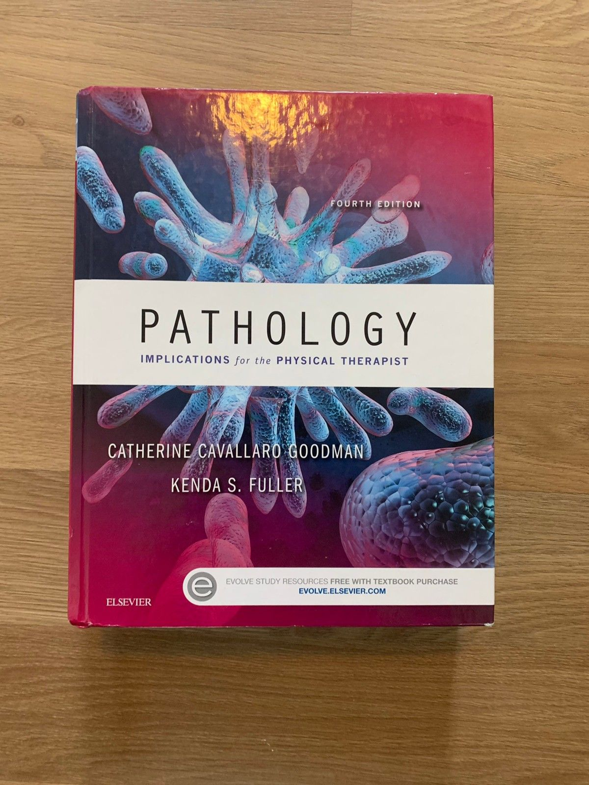 Pathology Implications For The Psysical Therapist FINN no