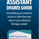 Physical Therapy Assistant Vs Physical Therapist What s The Difference