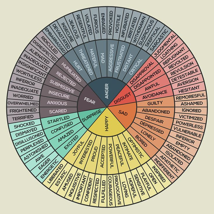 Psychology Emotion Wheel Holoserabc