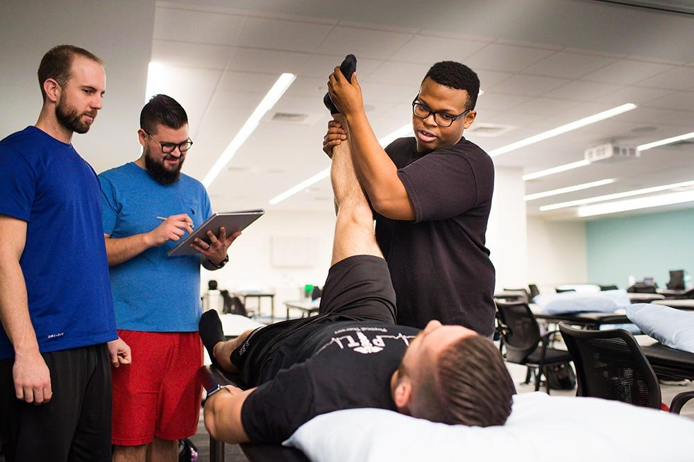 PT Job Description What Does A Physical Therapist Do